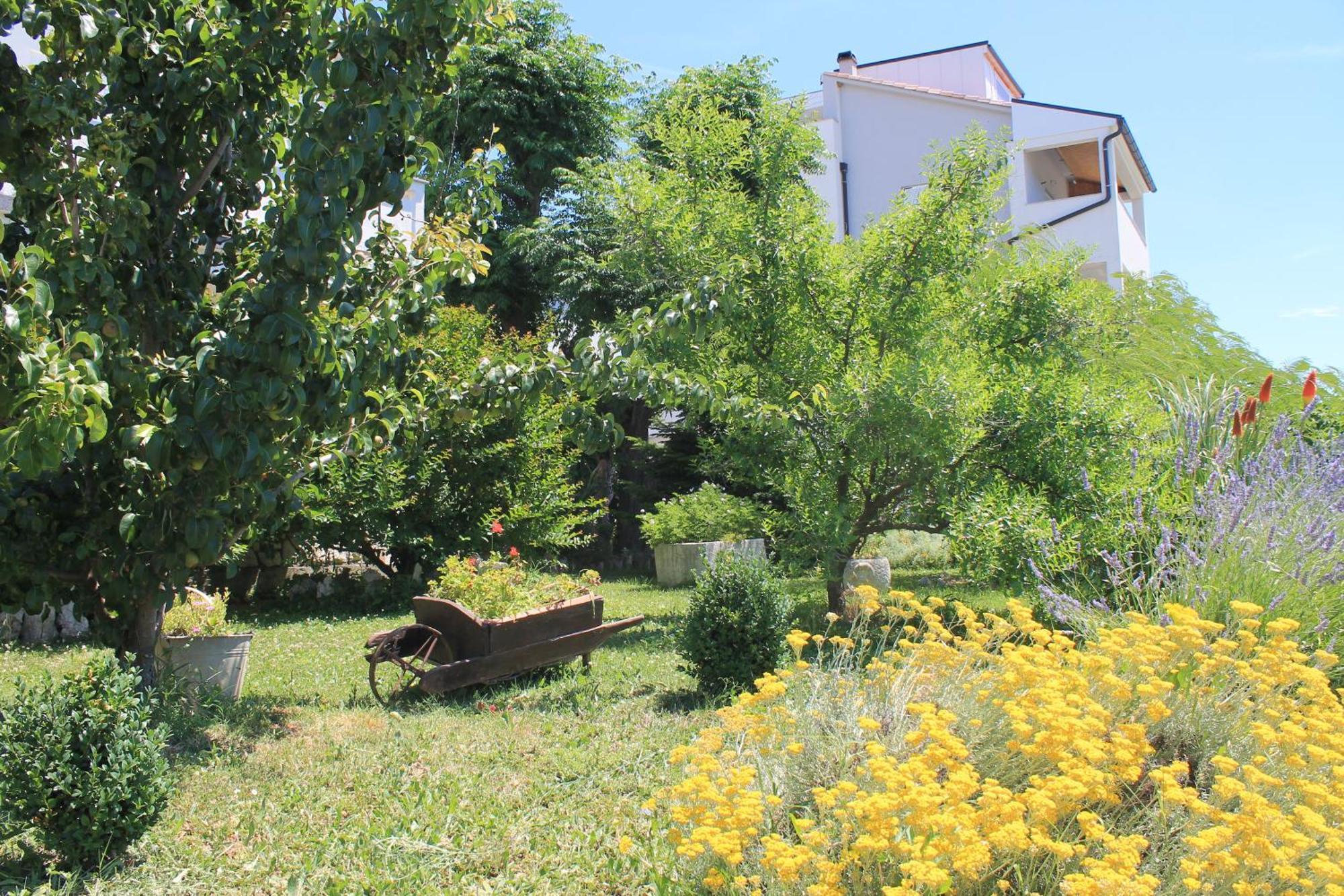 Apartments 501 - Rab Island Oasis Retreat Supetarska Draga Exterior foto