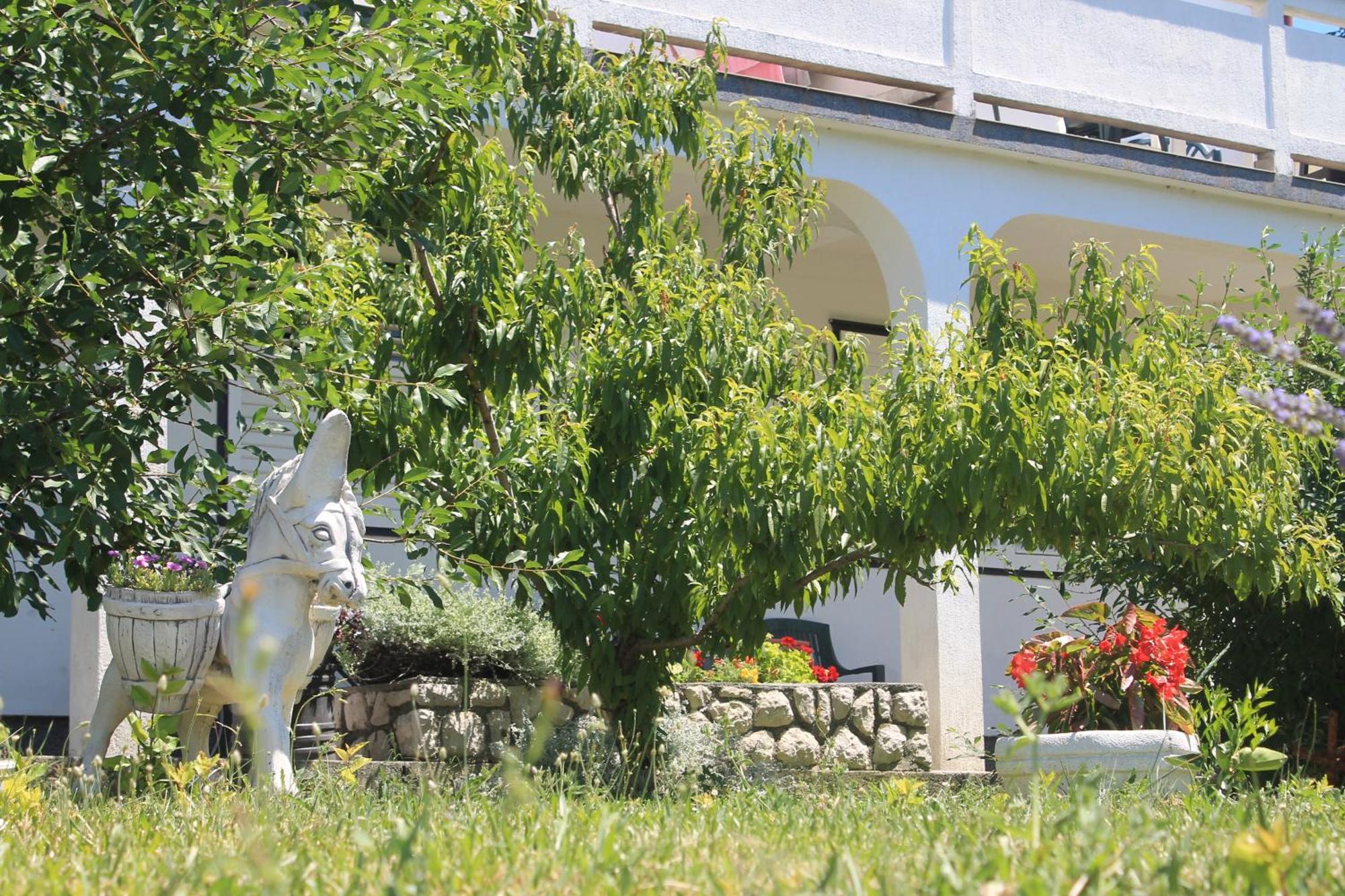 Apartments 501 - Rab Island Oasis Retreat Supetarska Draga Exterior foto